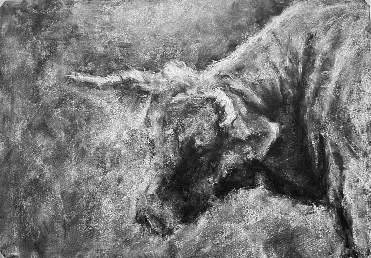 jorge-romero-drawings-no-bull-1200-2